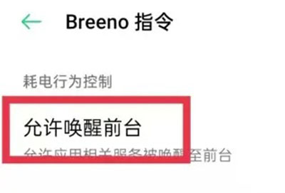 breeno指令执行失败怎么办