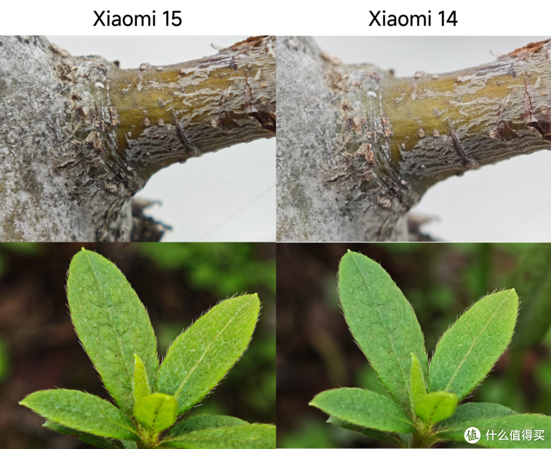 小米15体验：小屏标准版这答案都写好了，可友商没抄全就交卷啊！