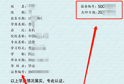 学历认证报告编号查询