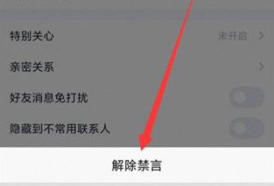 qq禁言解除详细教程